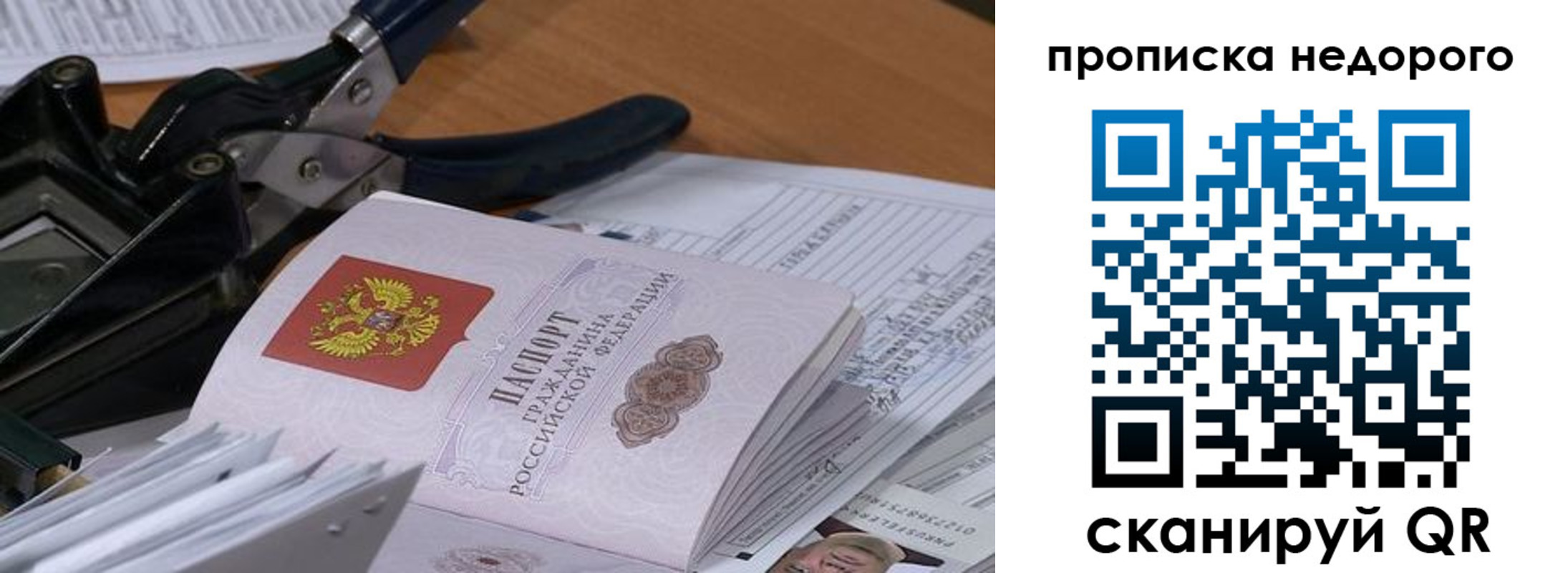 где прописаться в Оленегорске